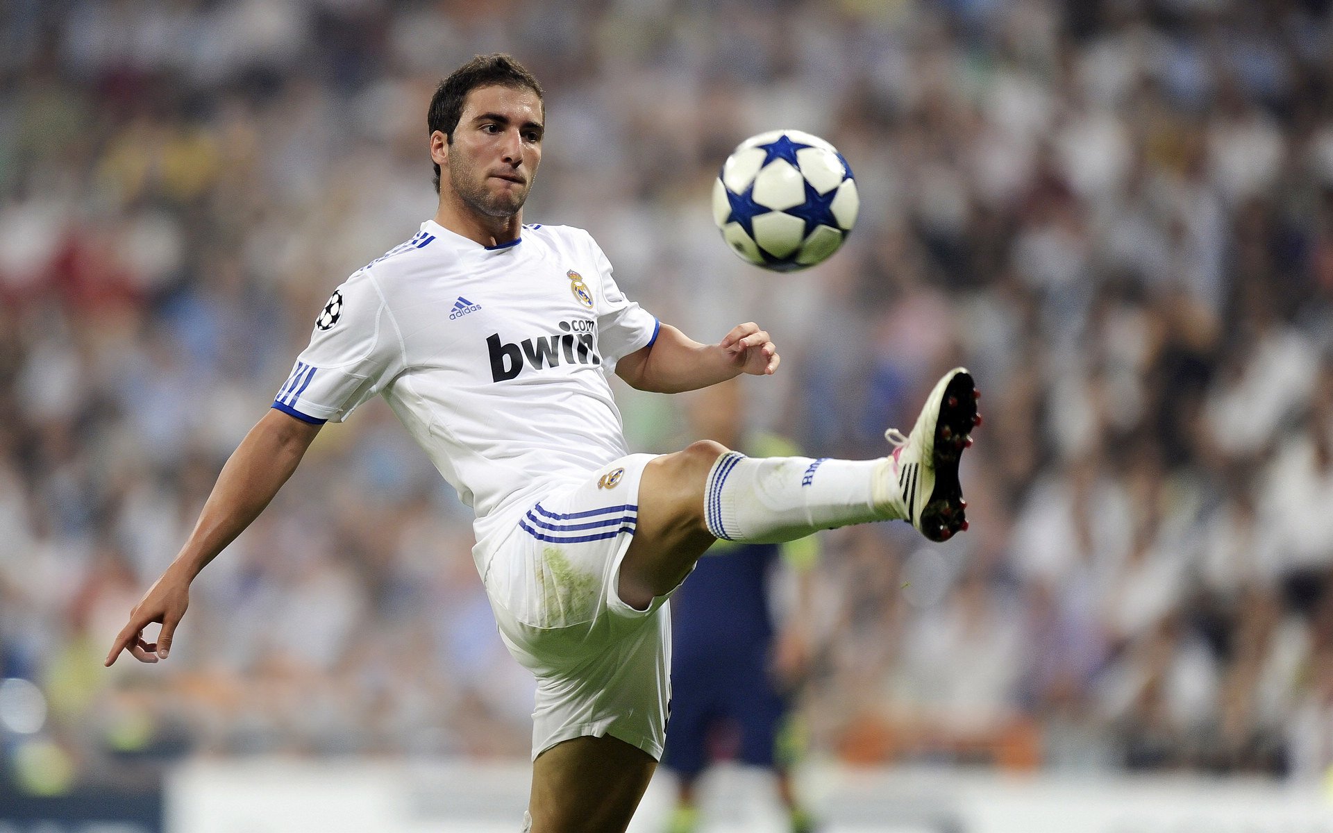 F1新赛季赛程泄露，观众们开始筹划朝圣之旅